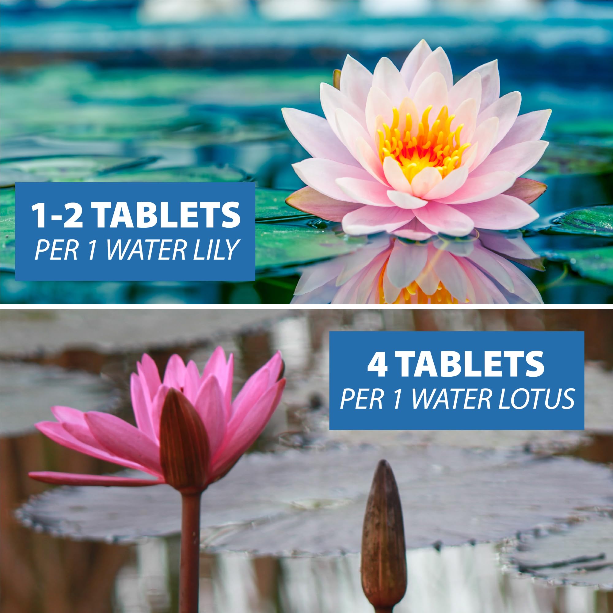 CrystalClear Thrive placed beside a waterlily promoting strong blooms