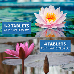 CrystalClear Thrive placed beside a waterlily promoting strong blooms