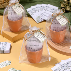 Ctosree mini potted plant detail showing durable plastic pot keepsake