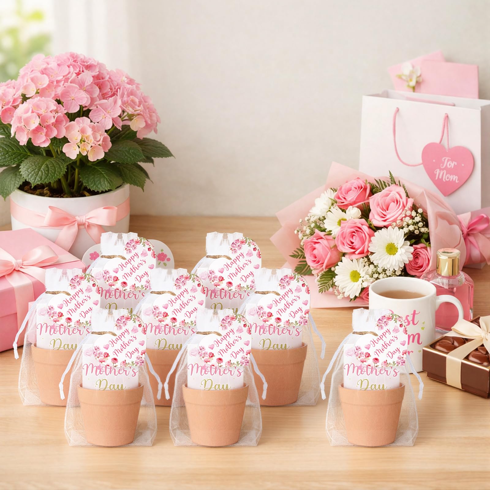 Ctosree organza bag holding pot and card, attractive gift presentation