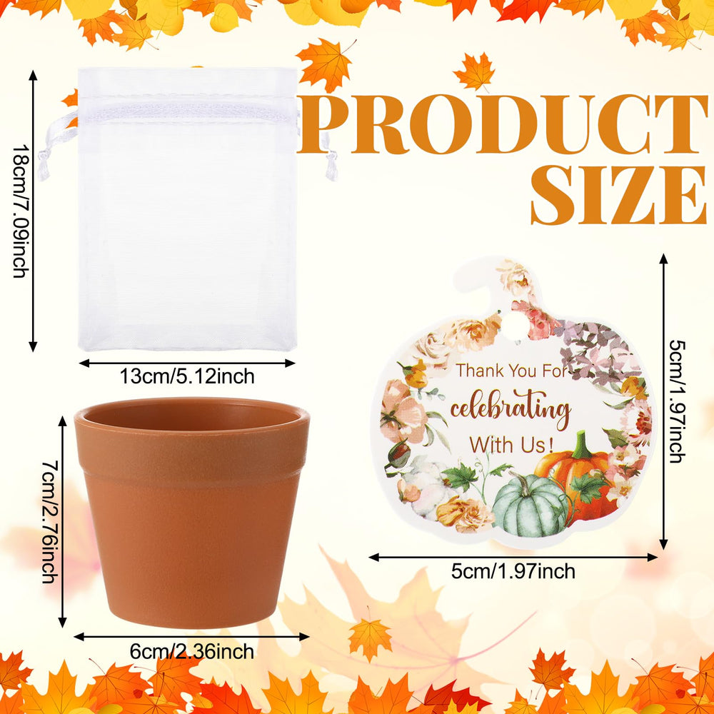 Ctosree close-up of self-adhesive seed packet showing autumn design and easy sealing