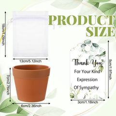 Ctosree seed packet close-up with eucalyptus design and planting inspiration
