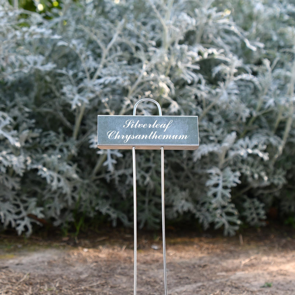 cureder lifestyle garden setting with markers for neat aesthetic and practical use
