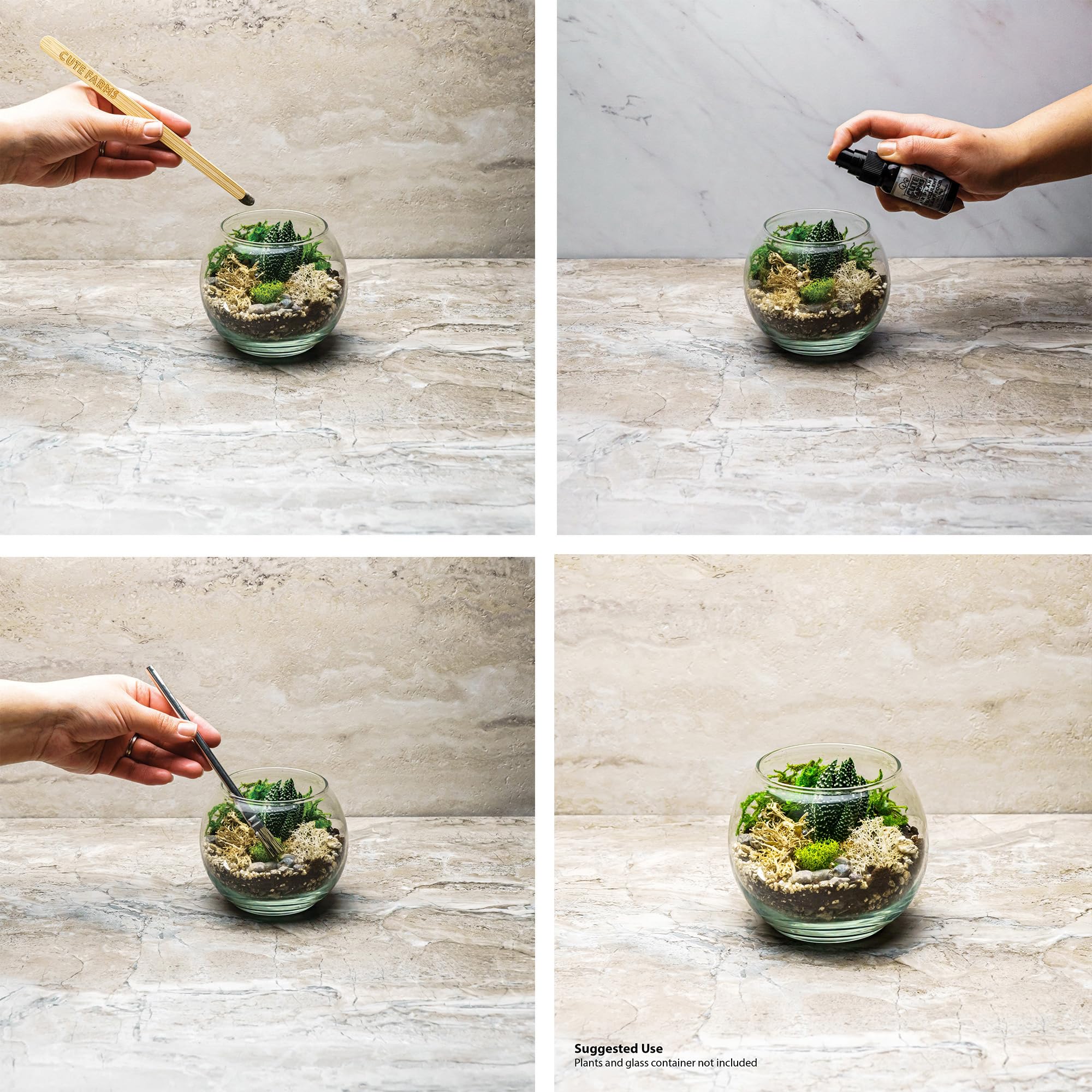 Cute Farms completed terrarium in a mason jar demonstrating finished design and plant placement