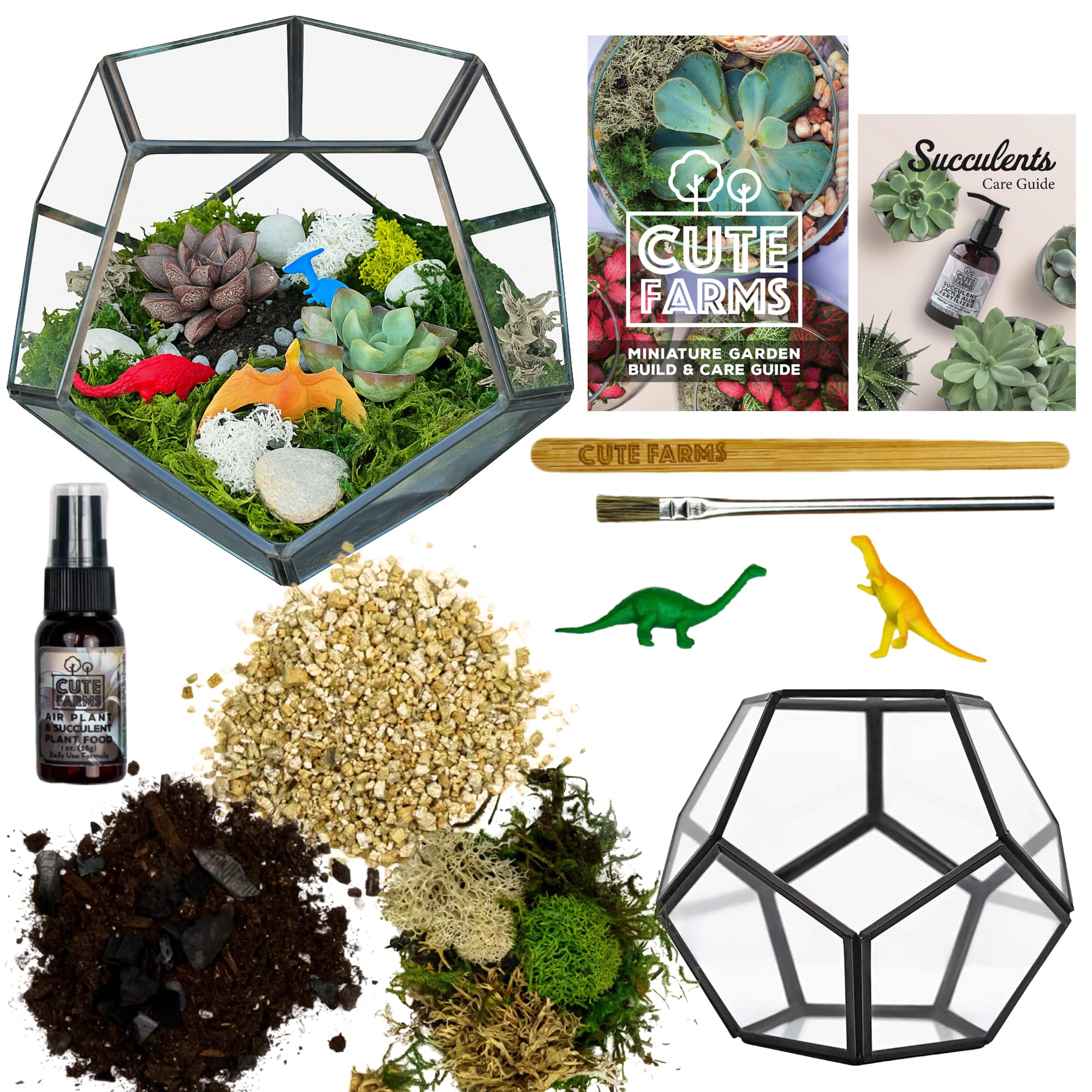 Cute Farms geometric glass front view showing clean modern terrarium vessel benefit display