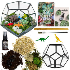 Cute Farms geometric glass front view showing clean modern terrarium vessel benefit display