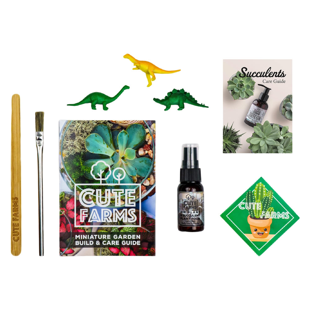 Cute Farms terrarium kit in use with hands assembling plants for a quick DIY project