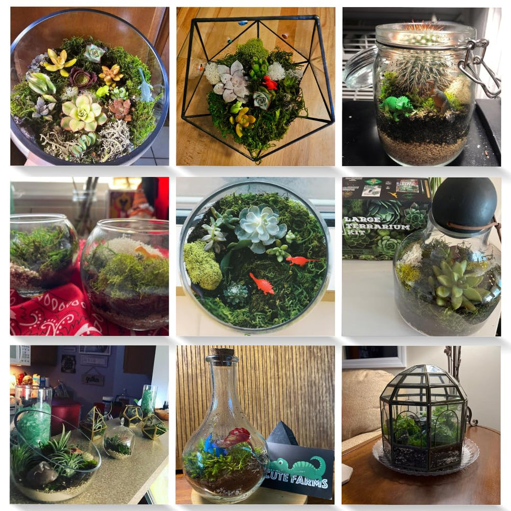 Cute Farms full kit contents spread out to show volume and components for multiple terrariums