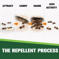 CVKDGJD unit placed in pantry corner reducing ants near food storage