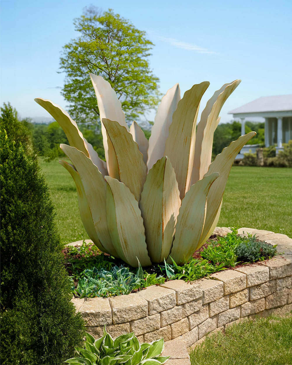 Cyan Oasis agave styled indoors in living room adding sculptural greenery without upkeep