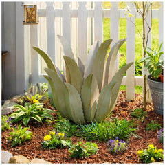 Cyan Oasis front view of metal agave showing rustic outdoor decor and focal impact