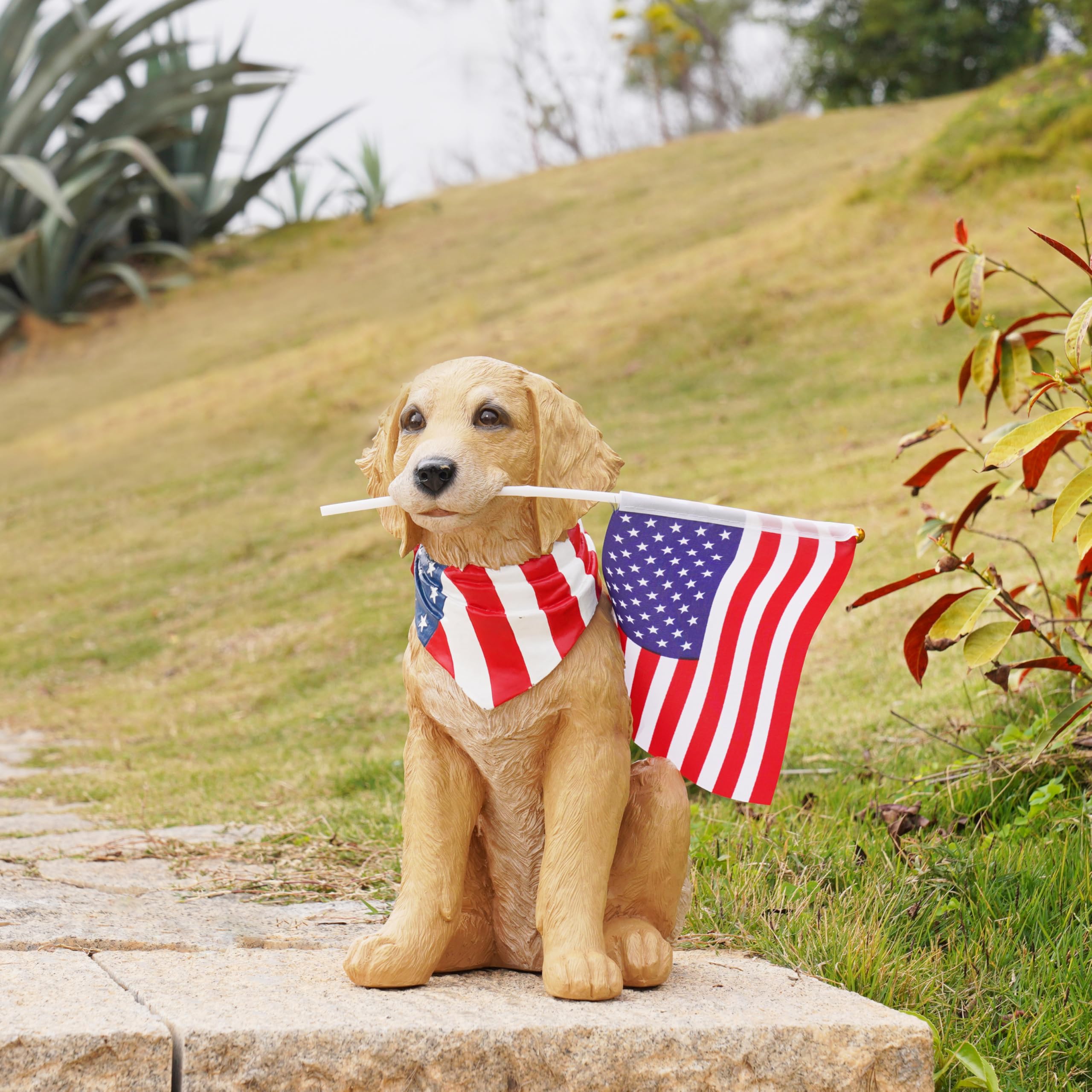 Cynkeyee flag removed accessory shows customization for seasonal displays