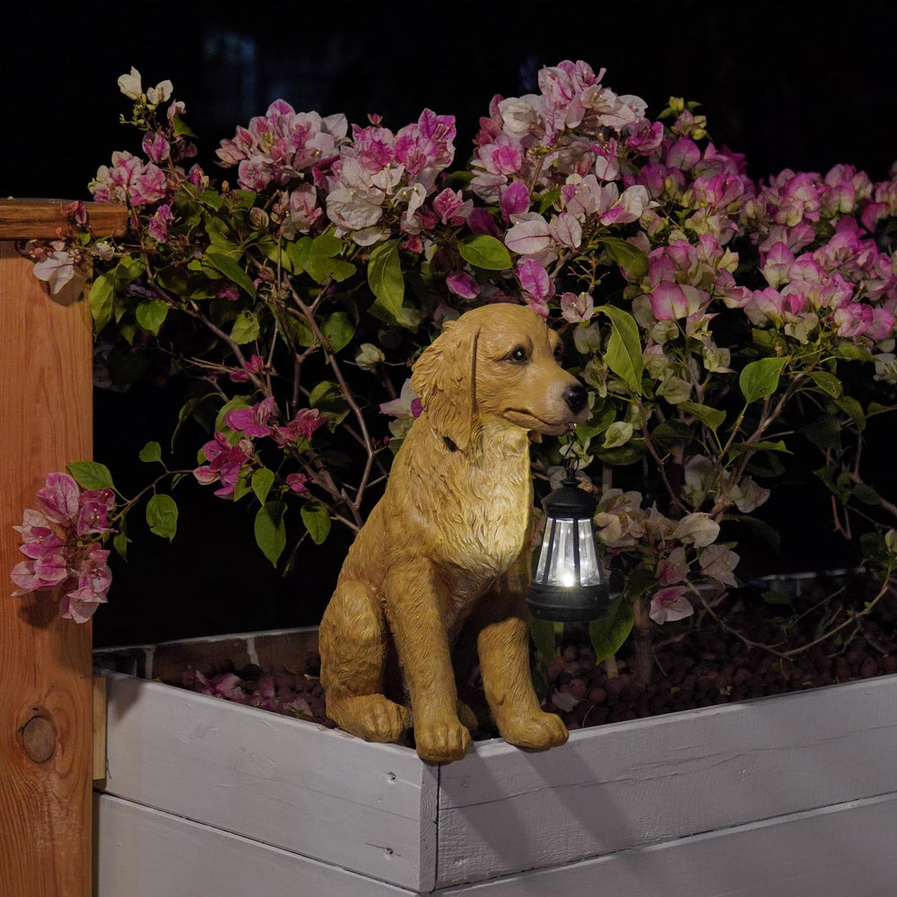 Cynkeyee beside a plant pot to show 15-inch scale and placement options