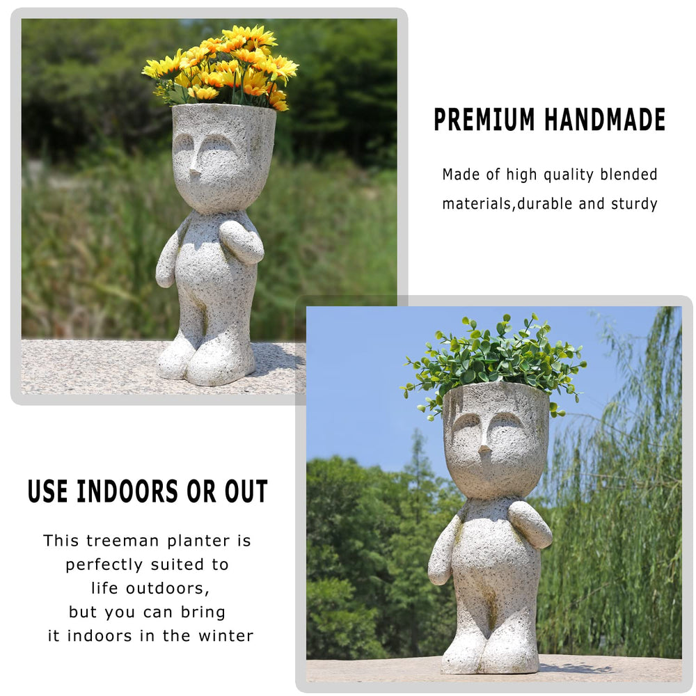 CYNOR planter filled with mixed succulents demonstrating decorative planting ideas