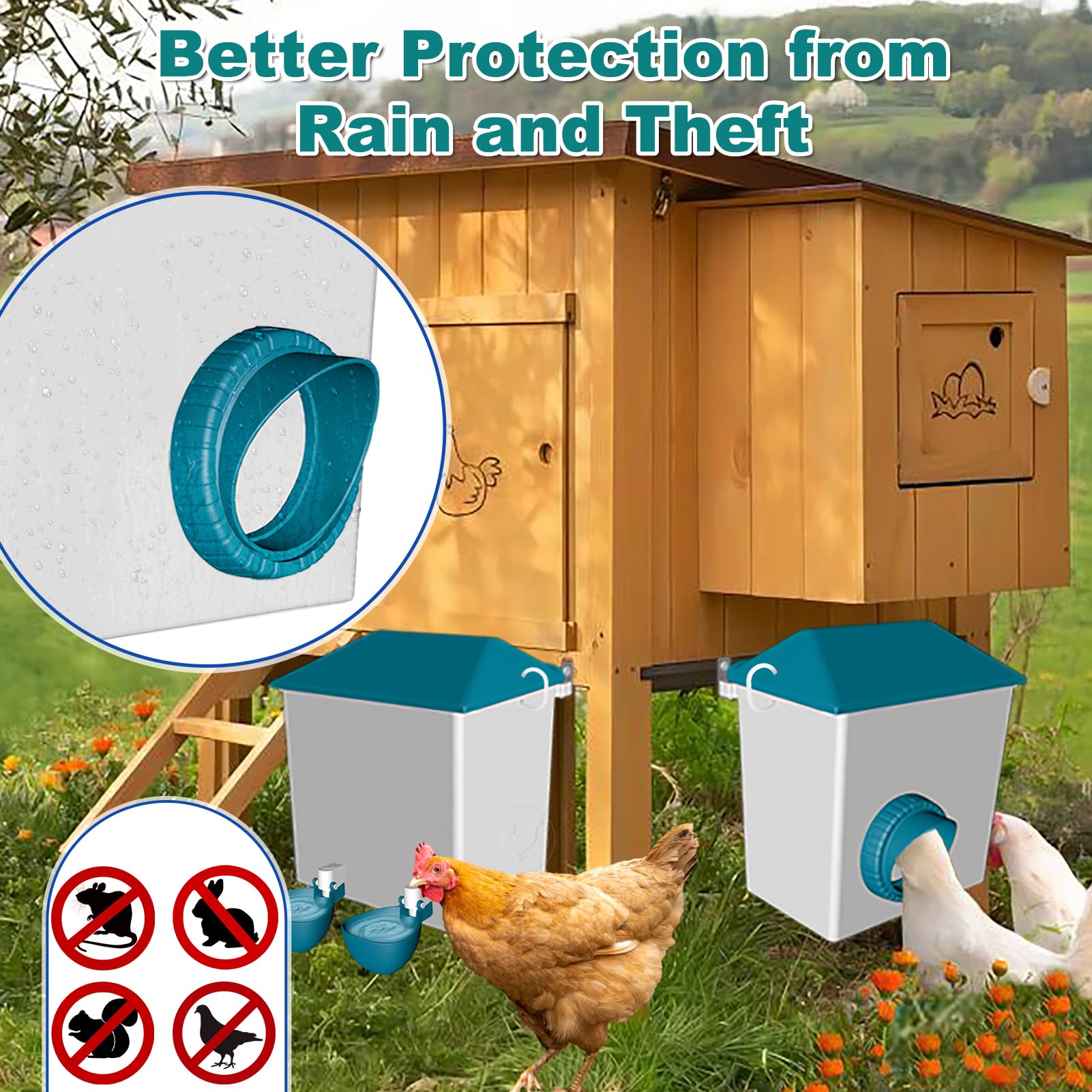 cyrico feeder and waterer hung in coop showing space-saving installation benefit