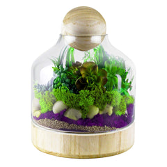 CYS EXCEL front view with wooden base showcasing clear display benefit