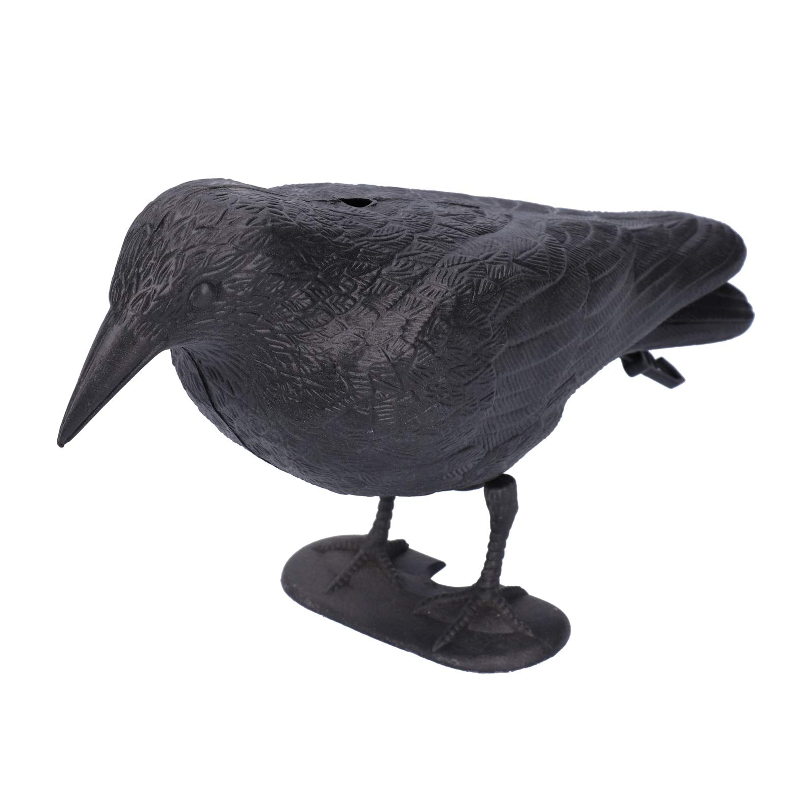 CYTGOUPER close-up of crow texture showing molded feather detail and durable finish