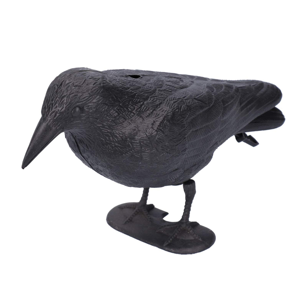 CYTGOUPER close-up of crow texture showing molded feather detail and durable finish