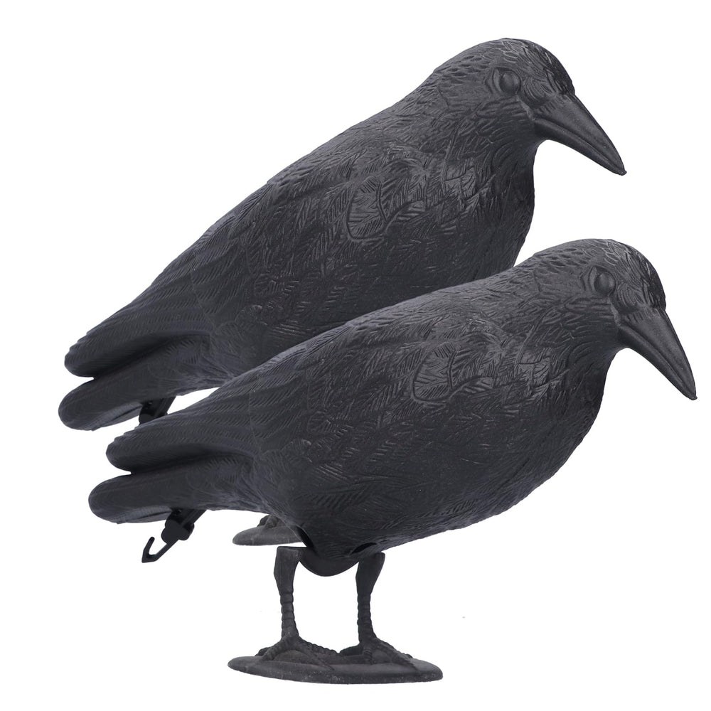 CYTGOUPER front view of life-size crow decoy showing realistic silhouette and outdoor benefit