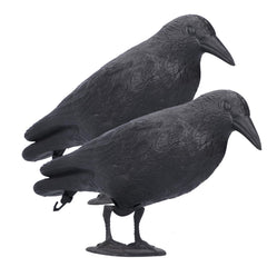 CYTGOUPER front view of life-size crow decoy showing realistic silhouette and outdoor benefit
