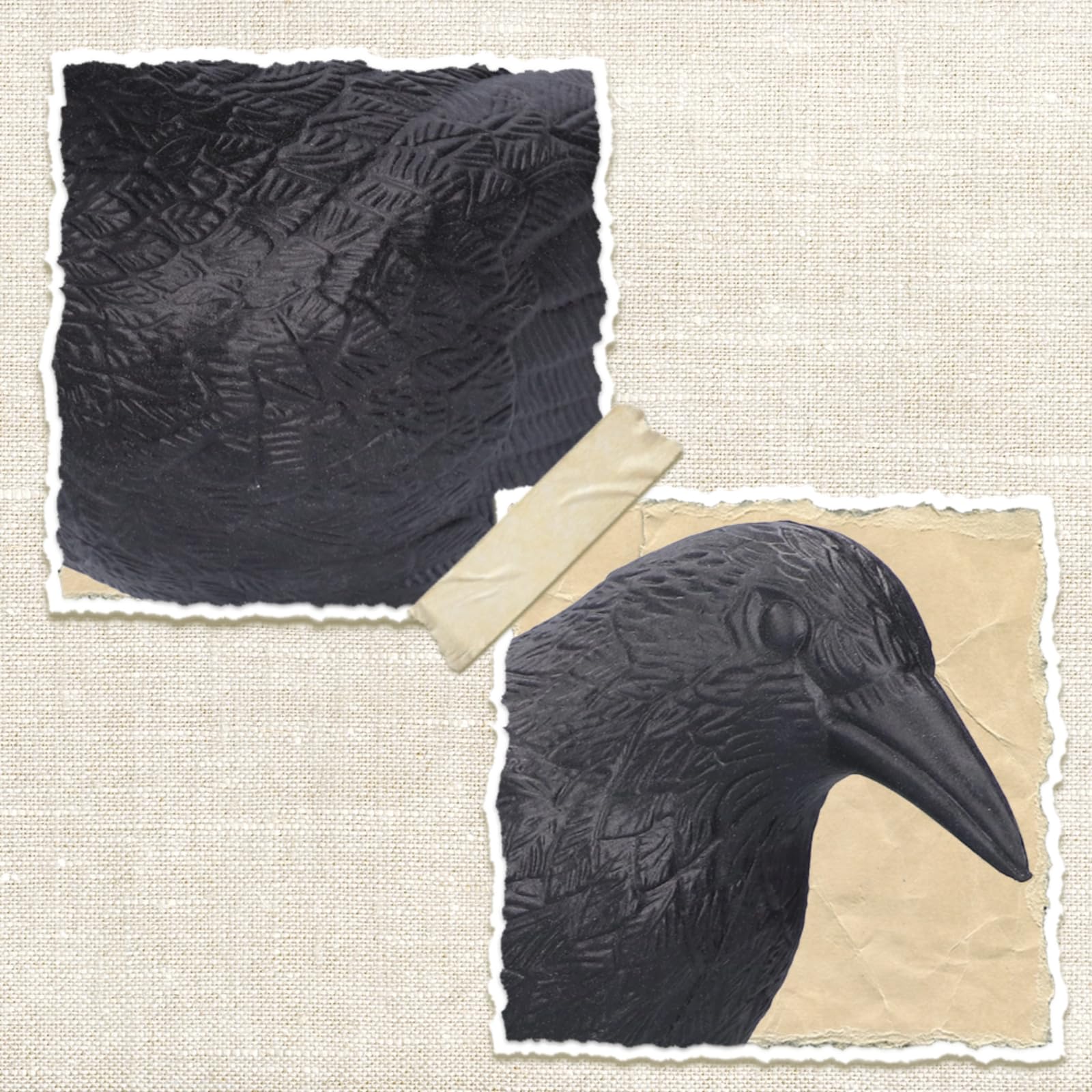 CYTGOUPER pair of crow decoys in garden bed showing coverage and crop protection