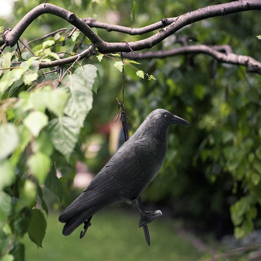 CYTGOUPER crow on porch with Halloween props showing seasonal decoration appeal
