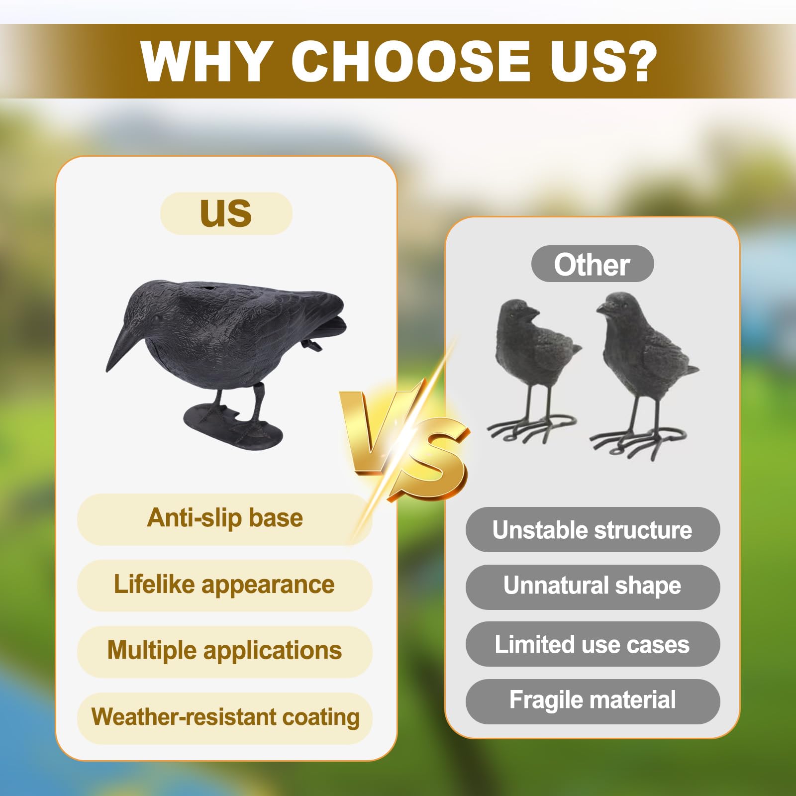CYTGOUPER standing crow on lawn illustrating ground placement and bird-deterrent use
