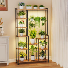 CYXPHION front view of C2 stand showing multiple plants and organized display benefit