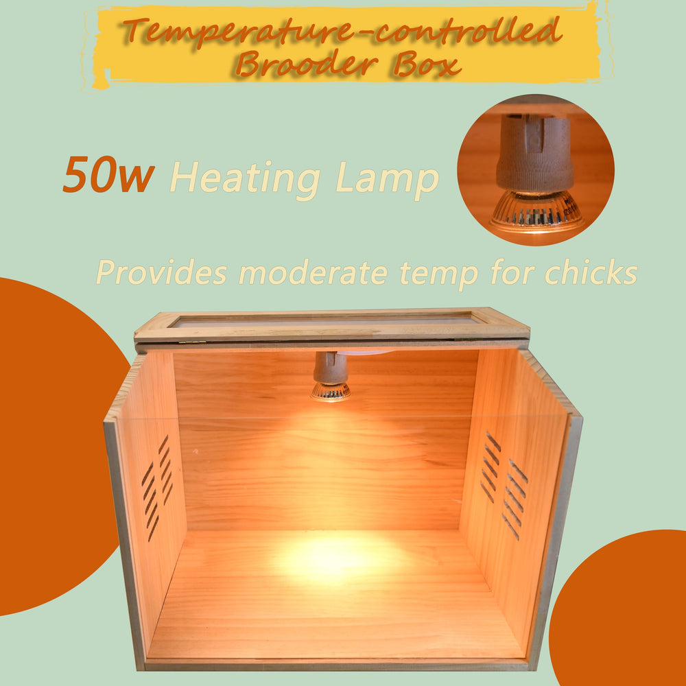 Cyzarize acrylic window closeup showing clear panels for easy chick observation