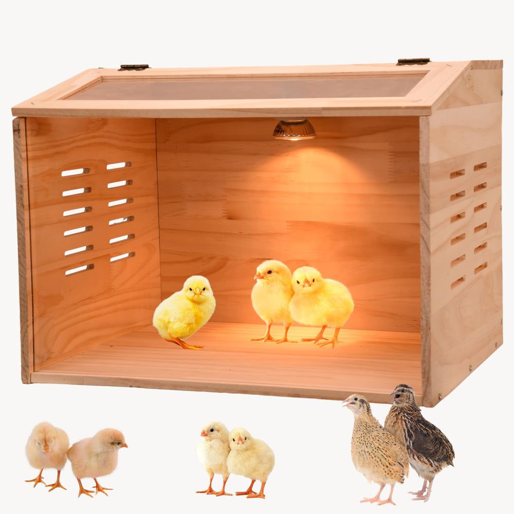Cyzarize brooder box front view showing heater and secure enclosure for chick warmth