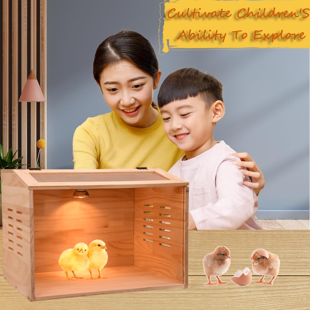 Cyzarize brooder in use with chicks illustrating safe, dry environment and visibility