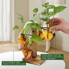 CYZglass bottles in use with cuttings showing clear root visibility for easy monitoring
