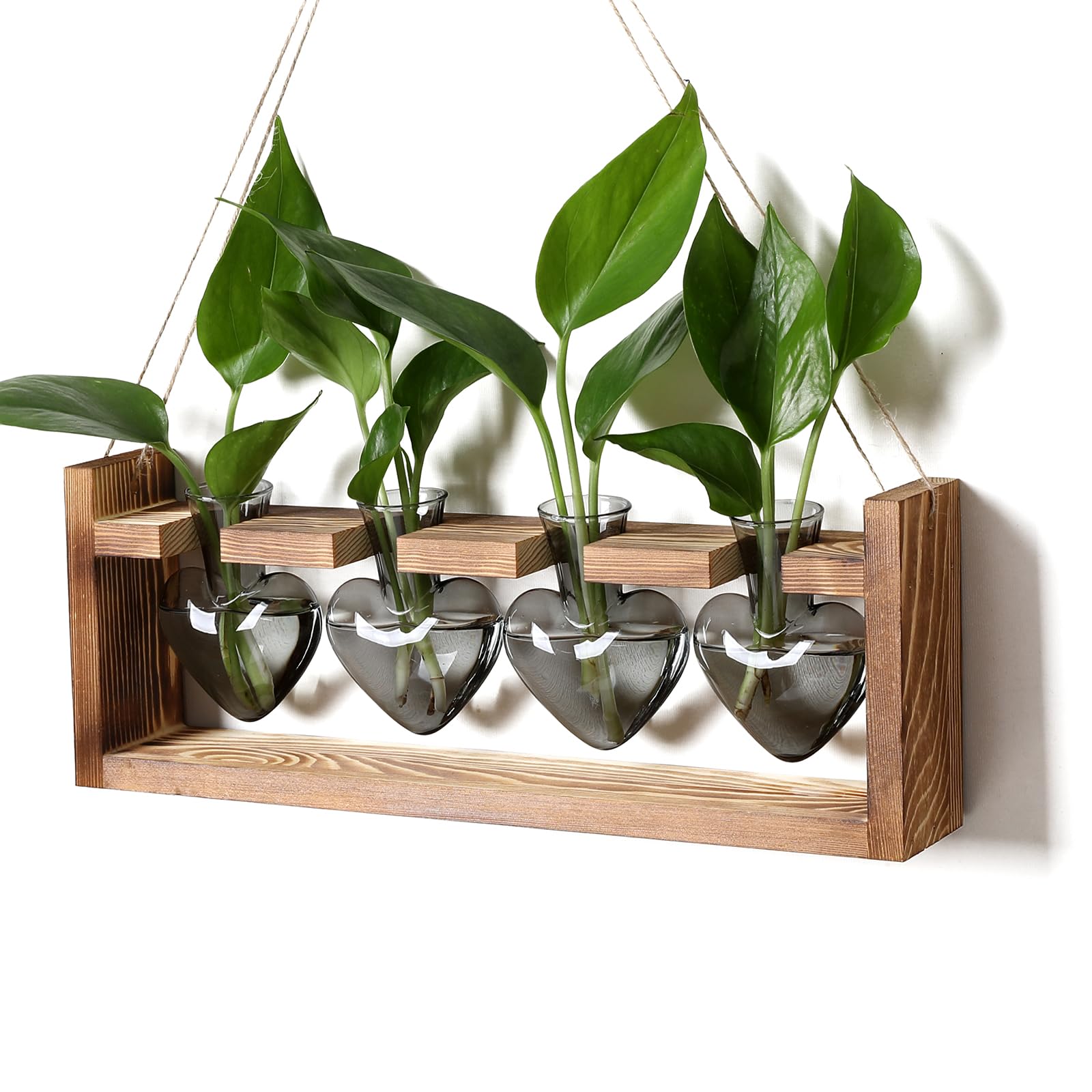 CYZglass front view of four heart vases on wooden stand showing elegant display and easy propagation