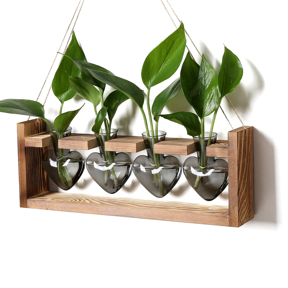 CYZglass front view of four heart vases on wooden stand showing elegant display and easy propagation