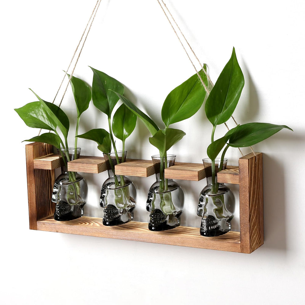 CYZglass front view of four skull vases showing colored glass and clear visibility benefit