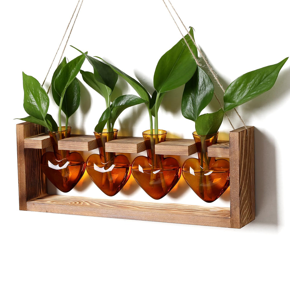 CYZglass front view of four heart-shaped vases on wooden stand showing elegant display and easy rooting