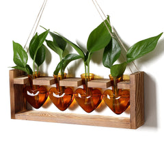 CYZglass front view of four heart-shaped vases on wooden stand showing elegant display and easy rooting
