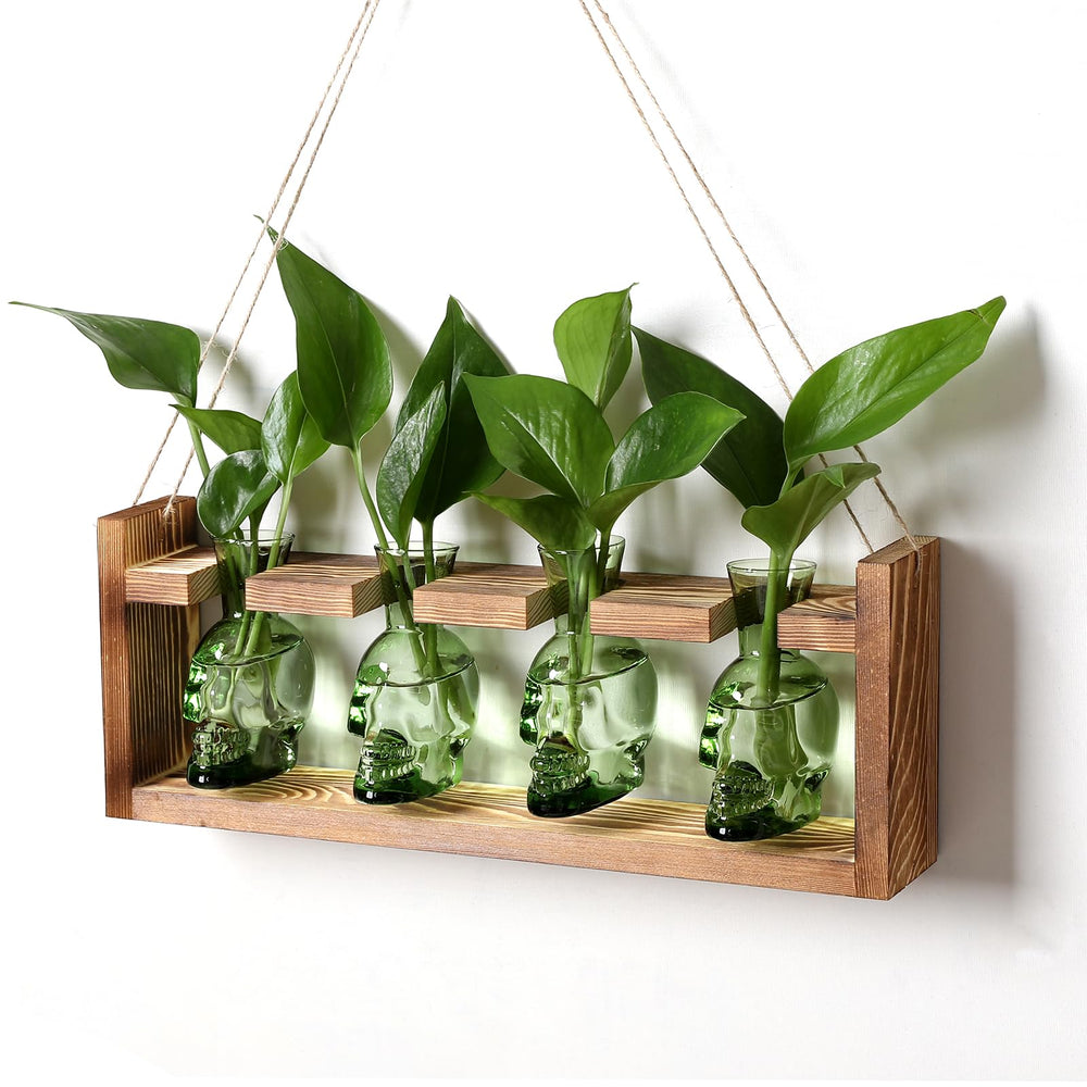 CYZglass front view skull vase showing shape and display-friendly base