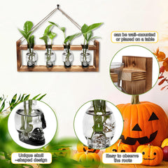 CYZglass skull vase with plant cutting in water illustrating easy root monitoring benefit