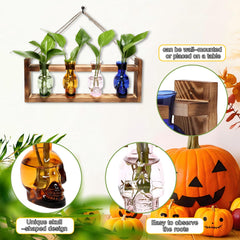 CYZglass skull vase with plant cutting in water showing easy root monitoring benefit