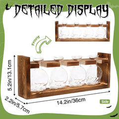 CYZglass wooden stand assembled displaying neat organization and elevation