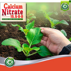 Clear mixing tank with Cz Garden solution showing fully dissolved calcium nitrate for hydroponics