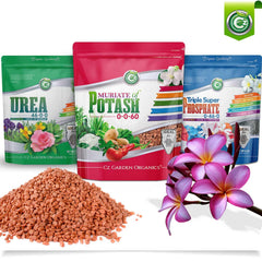 Cz Garden close-up of granular MOP particles showing uniform texture for easy mixing