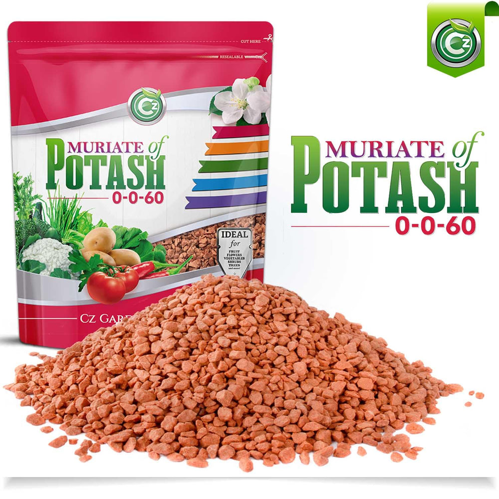 Cz Garden powder dissolving in water demonstrating fast solubility and quick feeding