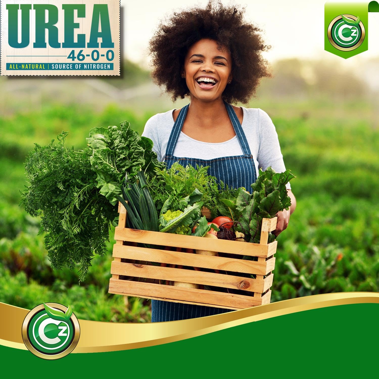 diluted Cz Garden urea solution in watering can for quick liquid feeding advantage