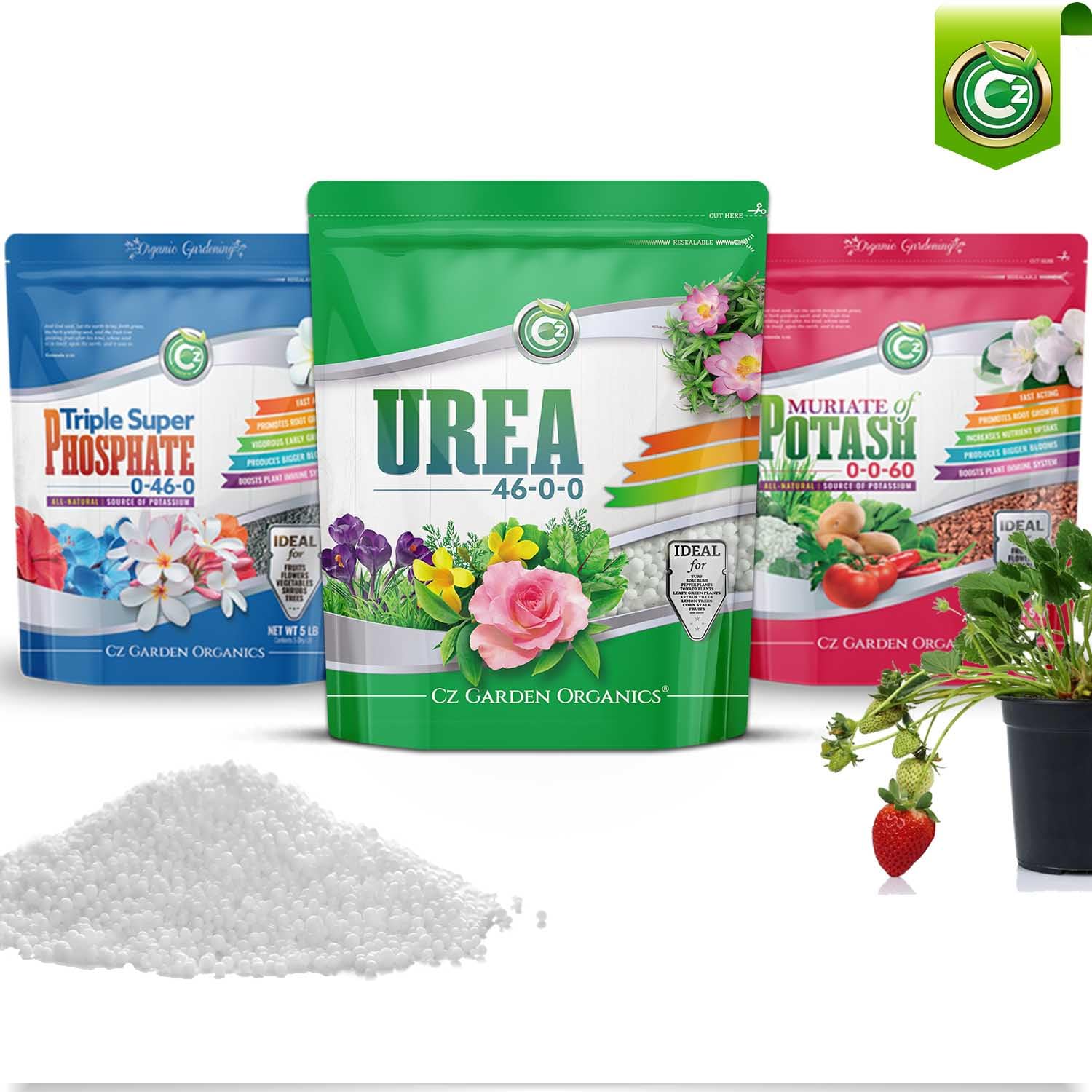 hand holding Cz Garden 10lb pouch to illustrate size and easy-pour packaging benefit