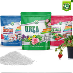 hand holding Cz Garden 10lb pouch to illustrate size and easy-pour packaging benefit