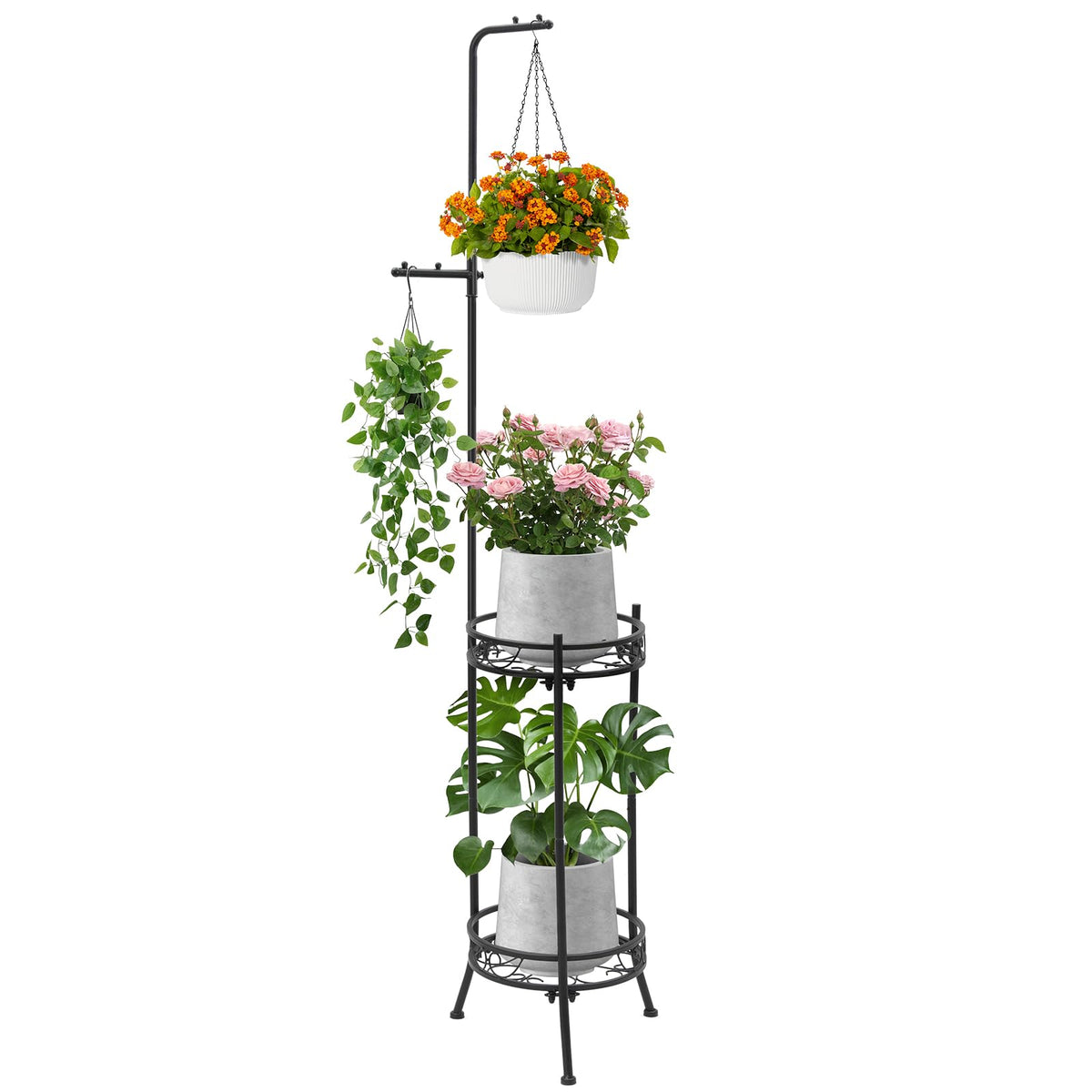 CZWL&HG front view of full assembled plant stand showing vertical display benefit