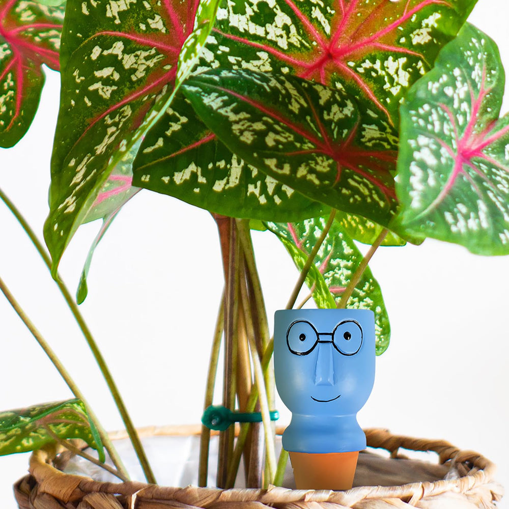 CZWL&HG watering spikes in balcony planters providing vacation irrigation