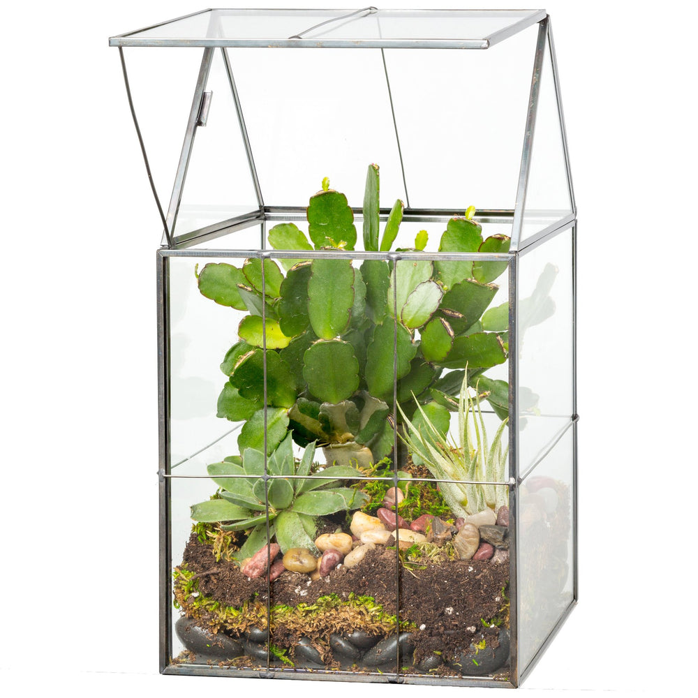D'Eco terrarium front view showing geometric shape and modern silhouette